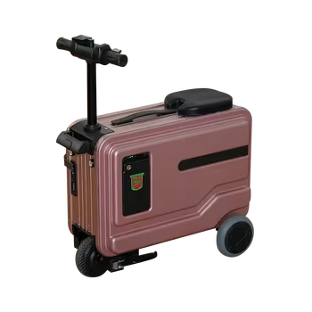 Woulib elektrik entelijan-Sou bagaj